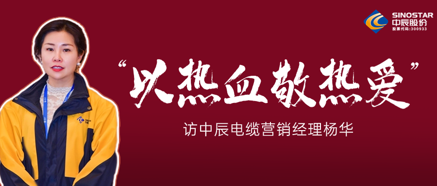 真正的热爱，铸就销售女王——访67381cm顶级游戏娱乐电缆营销经理杨华
